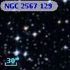 NGC  2567   129