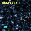 SkKM 245