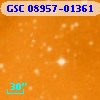 GSC 08957-01361