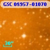 GSC 08957-01070