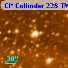 Cl* Collinder  228     TM     102