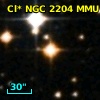 Cl* NGC 2204    MMU    3325