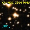 Cl* NGC 2204    MMU    4137