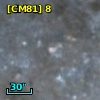 [CM81]  8