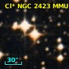 Cl* NGC 2423    MMU      20