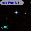 Ass Pup R   1-