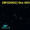 [BFO2002] Dra 60313