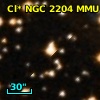 Cl* NGC 2204    MMU    2136