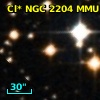 Cl* NGC 2204    MMU    3324