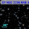 Cl* NGC 2236    BAB       1