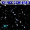 Cl* NGC 2236    BAB       3