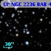 Cl* NGC 2236    BAB      48