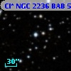 Cl* NGC 2236    BAB      59