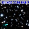 Cl* NGC 2236    BAB      73
