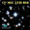 Cl* NGC 2236    BAB     100