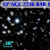 Cl* NGC 2236    BAB     101
