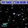 Cl* NGC 2236    BAB     123