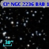 Cl* NGC 2236    BAB      16