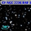 Cl* NGC 2236    BAB      19