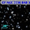 Cl* NGC 2236    BAB      37