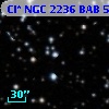 Cl* NGC 2236    BAB      50