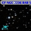 Cl* NGC 2236    BAB      57