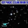 Cl* NGC 2236    BAB      58