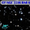 Cl* NGC 2236    BAB      65