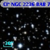 Cl* NGC 2236    BAB      78
