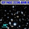 Cl* NGC 2236    BAB      81