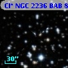 Cl* NGC 2236    BAB      85