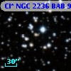 Cl* NGC 2236    BAB      99