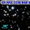 Cl* NGC 2236    BAB     103