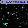 Cl* NGC 2236    BAB     120