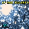 Cl* NGC  330    ARP       5