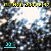 Cl* NGC 2004      E      37