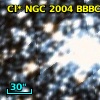 Cl* NGC 2004   BBBC     164