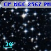 Cl* NGC 2567     PM      20