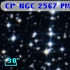 Cl* NGC 2567     PM      41