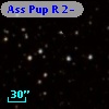 Ass Pup R   2-