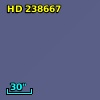 HD 238667