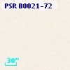 PSR B0021-72