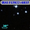 IRAS F17022+6037