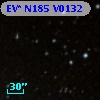 EV* N185 V0132