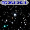 TYC 3613-242-1