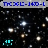 TYC 3613-1473-1