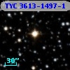 TYC 3613-1497-1