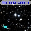 TYC 3613-1956-1