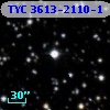 TYC 3613-2110-1