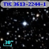 TYC 3613-2244-1